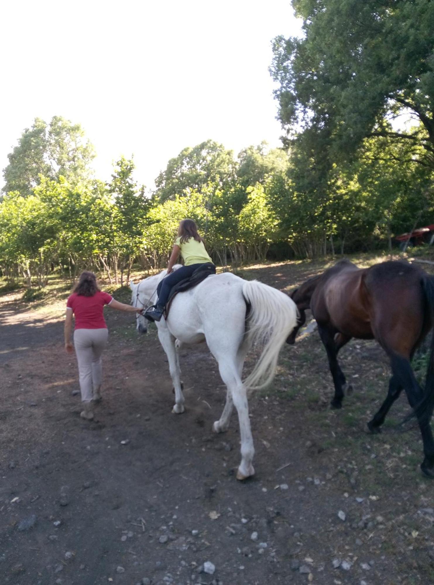 Agriturismo La Caraffara Sull' Etna Puntalazzo Exteriör bild