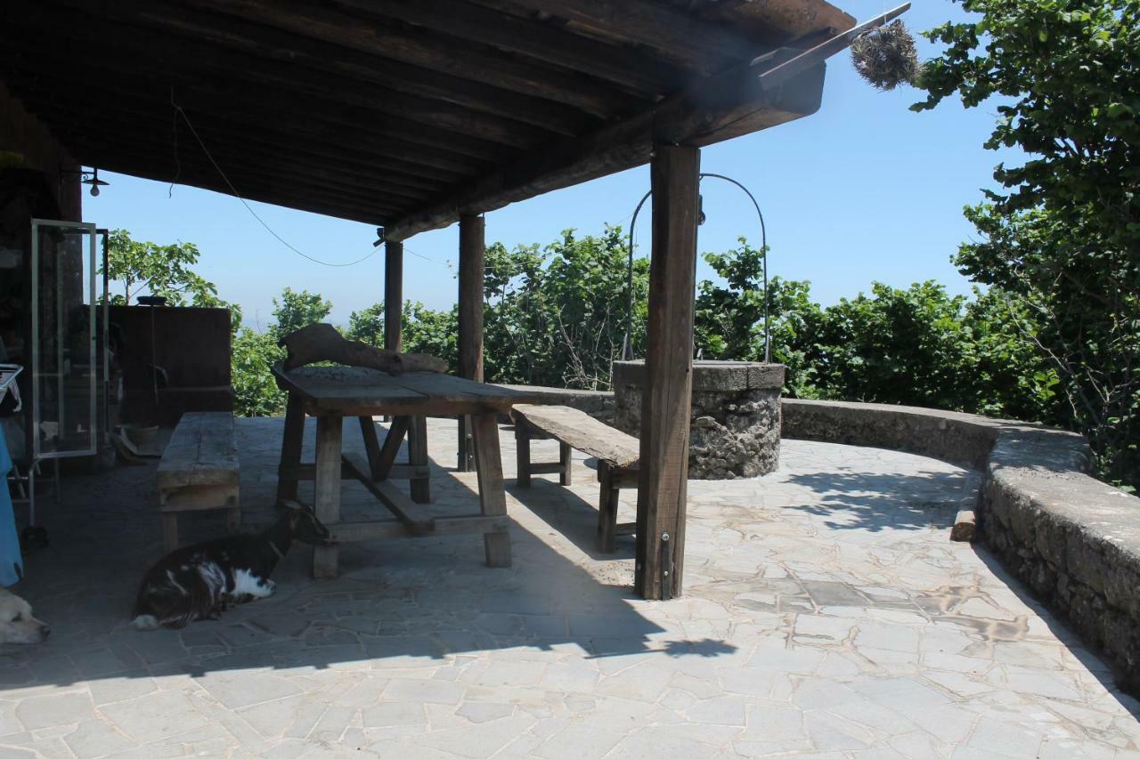 Agriturismo La Caraffara Sull' Etna Puntalazzo Exteriör bild