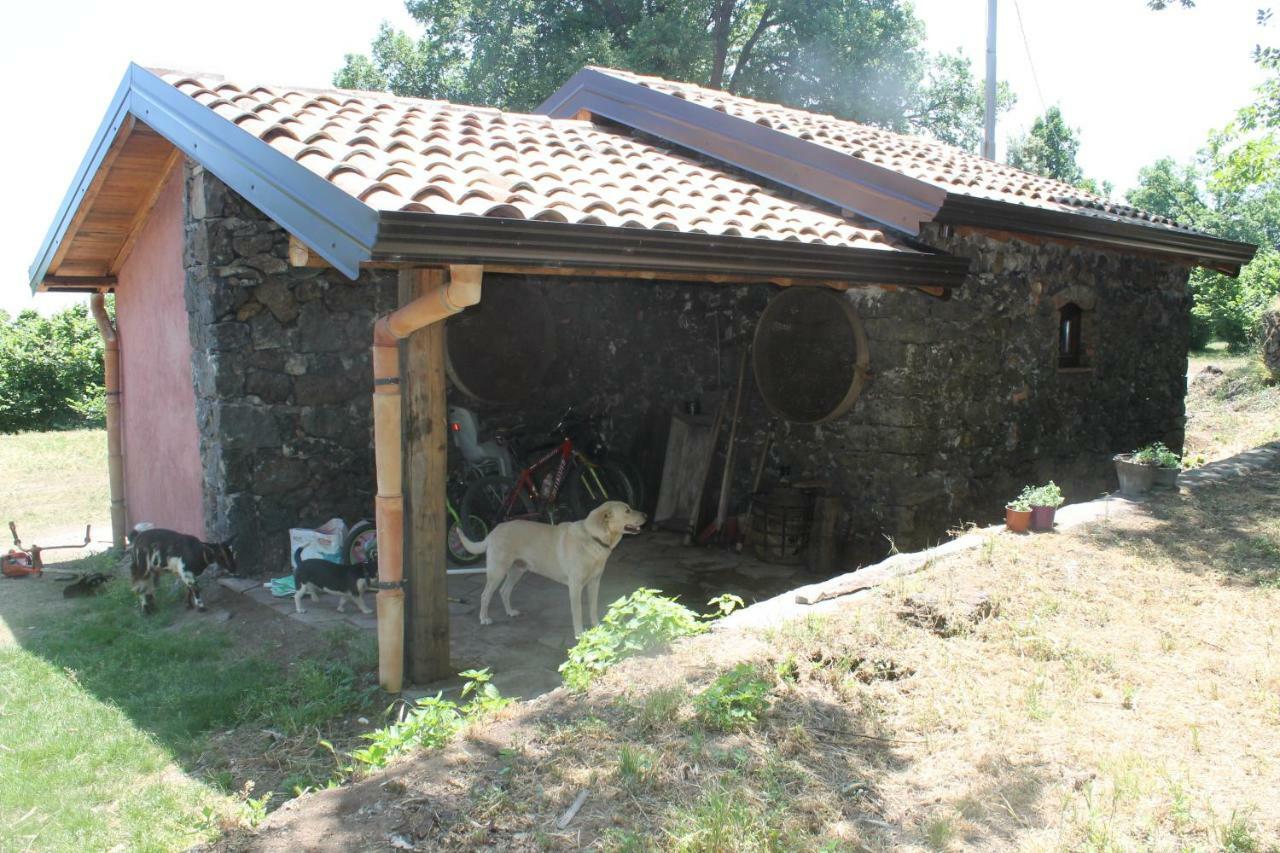 Agriturismo La Caraffara Sull' Etna Puntalazzo Exteriör bild